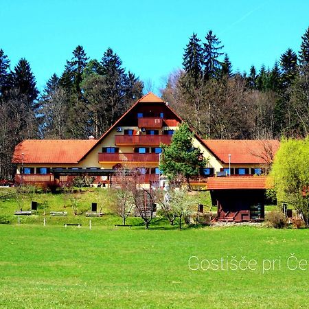 Guesthouse Pri Cebelici Lukovica pri Domžalah Eksteriør billede