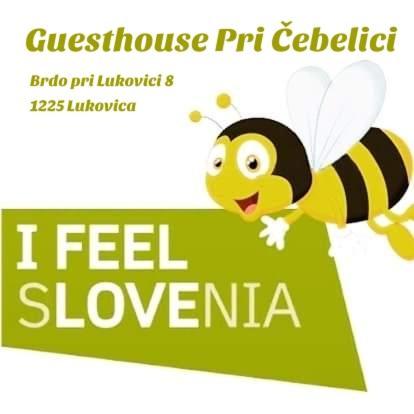 Guesthouse Pri Cebelici Lukovica pri Domžalah Eksteriør billede